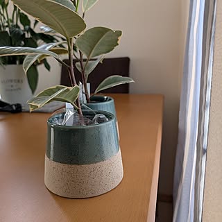 【みんなが選んだ！】置くだけでグリーンが映える！Standard Productsの植木鉢4選