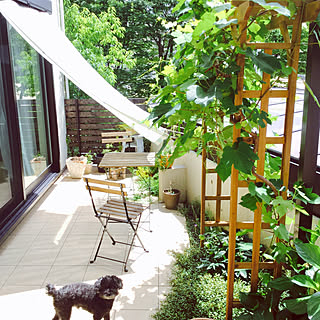 日差しを遮るだけじゃない！すだれとサンシェードで快適生活を