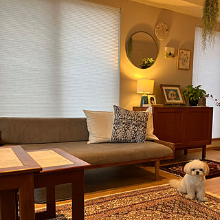 【写真でルームツアー】19年住んだ自宅をリノベーション。thhk1112さんのお家をご紹介！