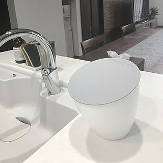 キッチンの生ゴミどうしてる？三角コーナーの工夫を大公開