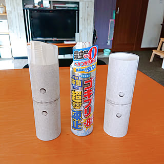 さまざまな工夫で嫌な虫とサヨナラ！早めに行いたいゴキブリなどの害虫対策