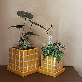 【みんなが選んだ!】買って正解♪「Standard Productsの植木鉢」3選