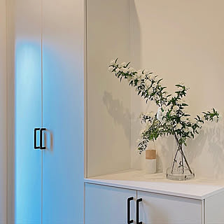 RoomClipショッピングで買える♪暮らしに潤いをもたらす「ホルムガード」