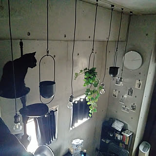 「26m2。近代美術館の雰囲気を目指した、アートと保護猫と過ごす部屋」 by Kateさん