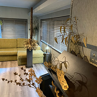 「50m2。リノベーションで手に入れた、石と植物で魅せるモダンなワンルーム」 by YANNAさん