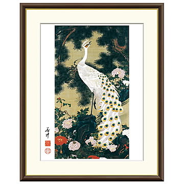 額絵 老松孔雀図 伊藤若冲 61x49.5cm 三幸