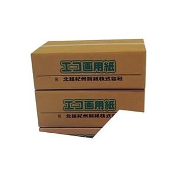 (業務用3セット)北越製紙 エコ画用紙/工作用紙 【八つ切り 中厚口】 200枚 105-8