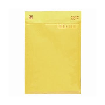 (まとめ) マルアイ ワンタッチセーフパックA4ぴったりサイズ 内寸245×330mm SP-TM140 1パック（10枚） 【×10セット】