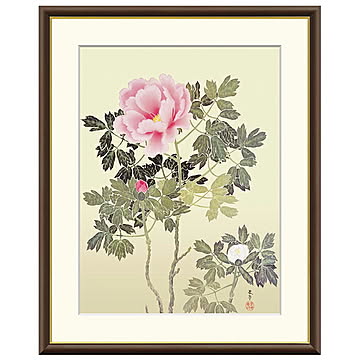 額絵 牡丹 菱田春草 61x49.5cm 三幸