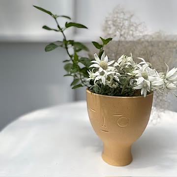 artek アルテック　夏至の魔法 ベース 　 COMPANY
