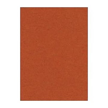 （まとめ） 文運堂 ニューカラーR 四ツ切 横392×縦542mm 4NCR-236 ちゃいろ 100枚入 【×2セット】