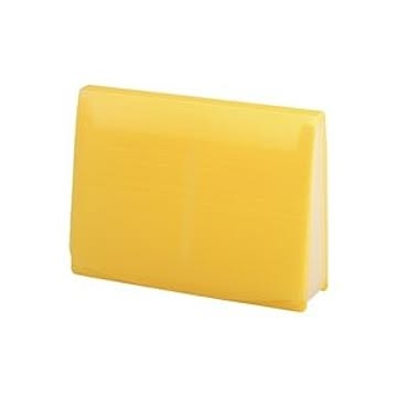 (業務用5セット) LIHITLAB ドキュメントファイル/エクスパンディングファイル 【A4】 最大収容量1500枚 A-5050-5 黄