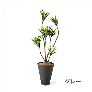 PRGR-1271 ドラセナ GWプランター H128cm eco / GREENPARK プリマ GREENPARK PRGR-1271