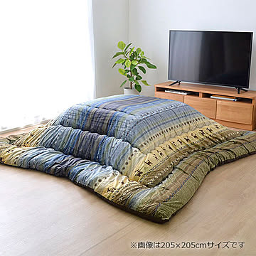ラディ 掛 GN 205×285cm イケヒコ イケヒコ・コーポレーション 1151290120303
