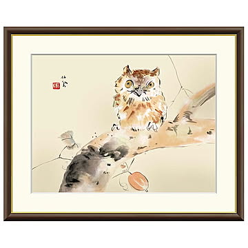 額絵 みゝづく 竹内栖鳳 52x42cm 三幸