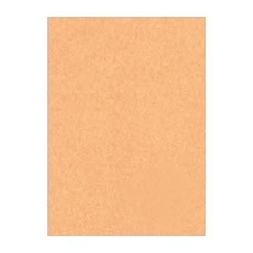 （まとめ） 文運堂 ニューカラーR 四ツ切 横392×縦542mm 4NCR-109 うすちゃ 100枚入 【×2セット】