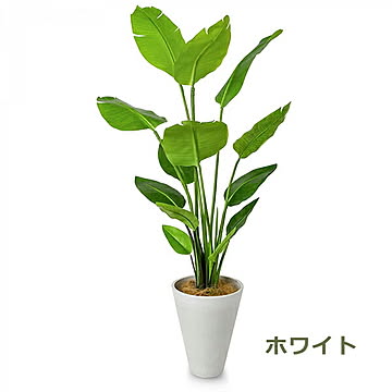 GREENPARK ストレリチア GWプランター H160cm PRGR-1148 プリマ
