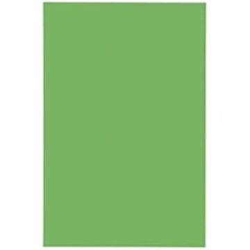 (業務用10セット) ジョインテックス マグネットシート 【ワイド/ツヤ有り】 ホワイトボード用マーカー可 緑 B210J-G-10