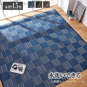 イケヒコ・コーポレーション 洗えるポリプロピレンラグ 本間4.5畳 ネイビー 2116912