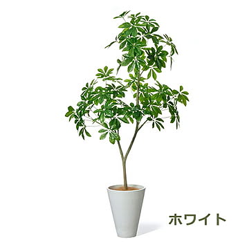 GREENPARK シェフレラ GWプランター H160cm PRGR-1532 プリマ