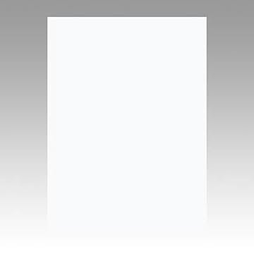 （まとめ） 文運堂 ニューカラーR 全判 横788×縦1091mm 10-151 ゆき 10枚入 【×2セット】