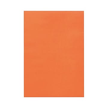 (まとめ) TANOSEE 色画用紙 八つ切 だいだい 1パック（10枚）  【×50セット】