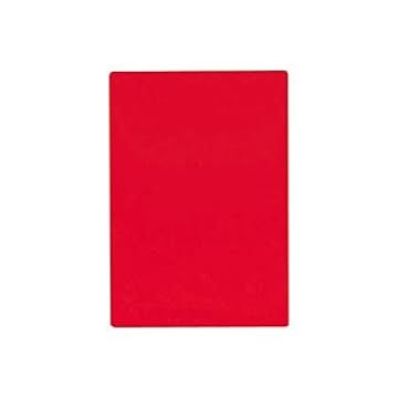 （まとめ）共栄プラスチック A4判 色透明下敷 赤 NO.1377-R【×20セット】