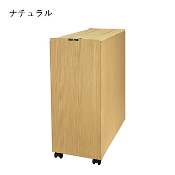バスク リビングペール 30L ゴミ箱 ダストボックス