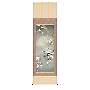 掛け軸 夜桜 緒方葉水 54.5x190cm 三幸