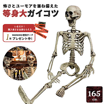 今だけ限定特典｜WARNINGテープ6m付き ドクロ 人体模型 骸骨 ガイコツ 骨 等身大 置物 約165cm ホラー リアル 本格的 誕生日 室内 置物 怖い 恐怖 スケルトン かわいい クリスマス