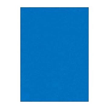 （まとめ） 文運堂 ニューカラーR 全判 横788×縦1091mm 10-239 あお 10枚入 【×2セット】