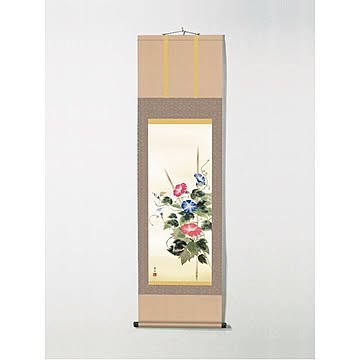 【初夏掛軸】花掛け軸・涼しげな掛軸・梅雨掛軸 ■緒方葉水掛軸(尺三)「朝顔」