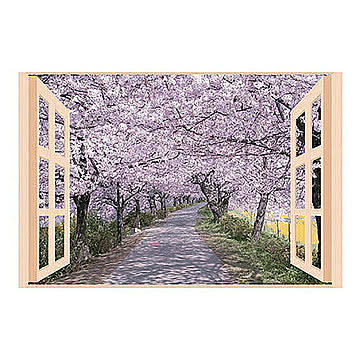 昭プラ お風呂のポスター 四季彩 桜並木 8095651 管理No. 4560486510777