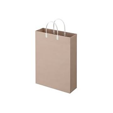 (まとめ) TANOSEE ラミネートクラフトバッグ 大 ヨコ320×タテ440×マチ幅110mm 白 1パック（10枚） 【×10セット】