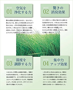 純国産 糸引織 い草上敷 『日本の暮らし』 