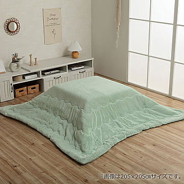 ラピアス PGY 205×205cm  イケヒコ イケヒコ・コーポレーション 1181670130311
