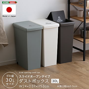 ゴミ箱 スライドオープンタイプ 30L