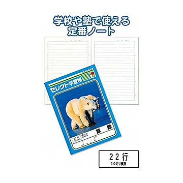 学習帳K-4算数 横罫22行 10個セット 31-374