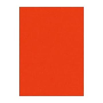 （まとめ） 文運堂 ニューカラーR 四ツ切 横392×縦542mm 4NCR-330 あかねいろ 100枚入 【×2セット】