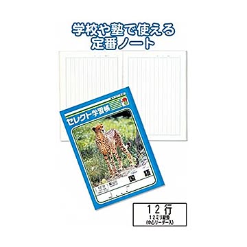 学習帳K-15国語 縦罫12行 10個セット 31-378