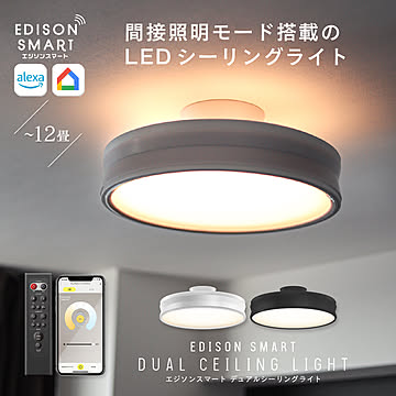エジソンスマート デュアルシーリングライト