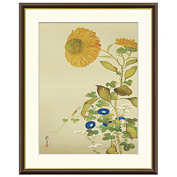 額絵 向日葵、朝顔、藤袴、蟷螂 酒井抱一 42x34cm 三幸