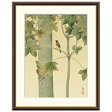 額絵 桐に小禽 菱田春草 42x34cm 三幸