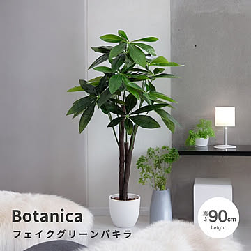Botanica（ボタニカ） 光触媒 フェイクグリーン パキラ m13479