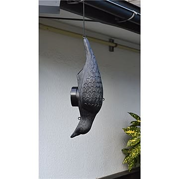 センサー式 防鳥器具 幅15.5cm 操作距離約8〜10m 電源 音響調節 リモコン付き 簡単操作 叫ぶ！カラス 害鳥対策用品