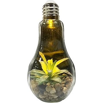 電球型インテリアライト TerrariuM （テラリウム）B