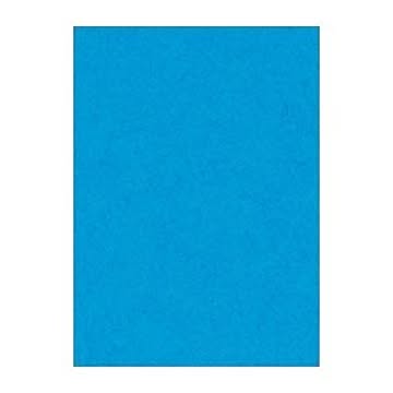 （まとめ） 文運堂 ニューカラーR 四ツ切 横392×縦542mm 4NCR-216 うすあお 100枚入 【×2セット】