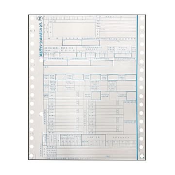東京ビジネス給与支払報告書源泉徴収票平成31年提出用平成30年分BP3003-030B 1箱500セット