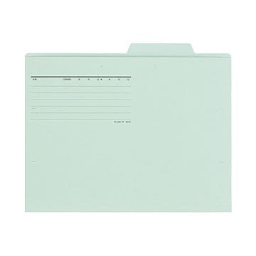 （まとめ） プラス 個別フォルダー FL-082IF A4E ブルー 50枚×5セット