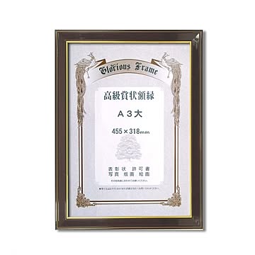 【高級賞状額】樹脂賞状額　壁掛けひも　■賞状額「光輝」　A3大（455×318mm）